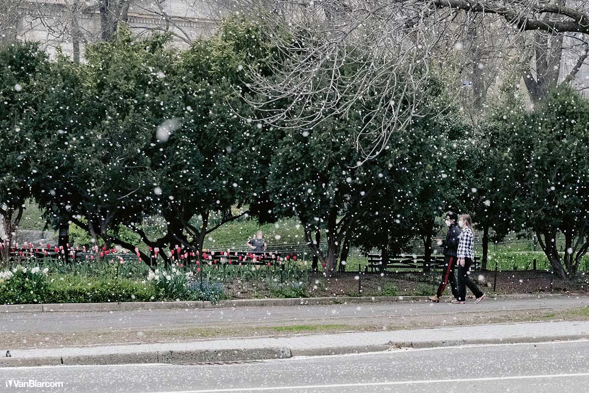 Social Distance New York City