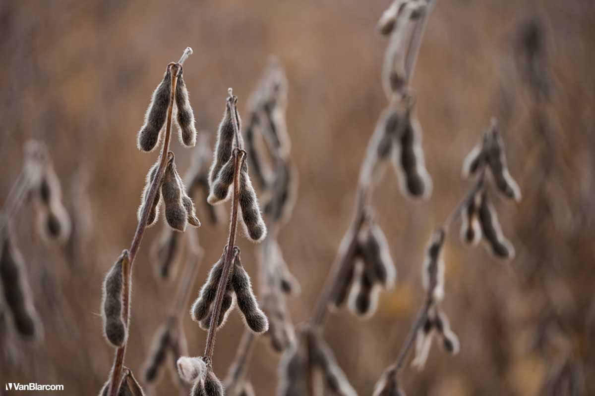 Peterson Farm Apiary